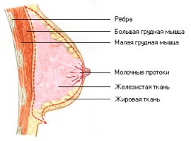 lift_anatomy_02.jpg