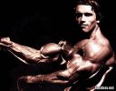 arnold2xx2.jpg